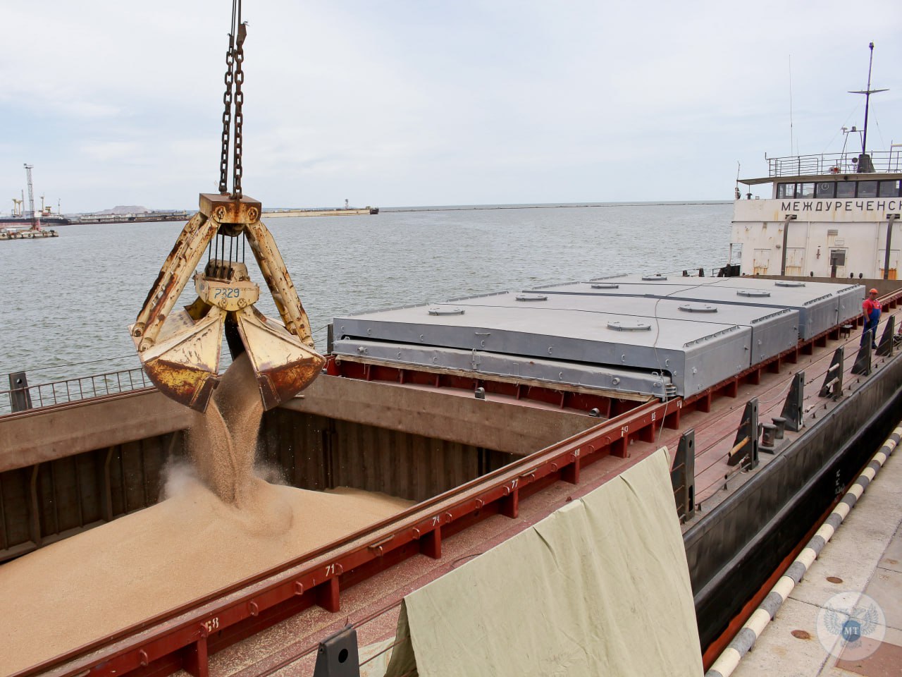 Порядка 14 тысяч тонн зерна отгружено Мариупольским морским портом с начала нового года 